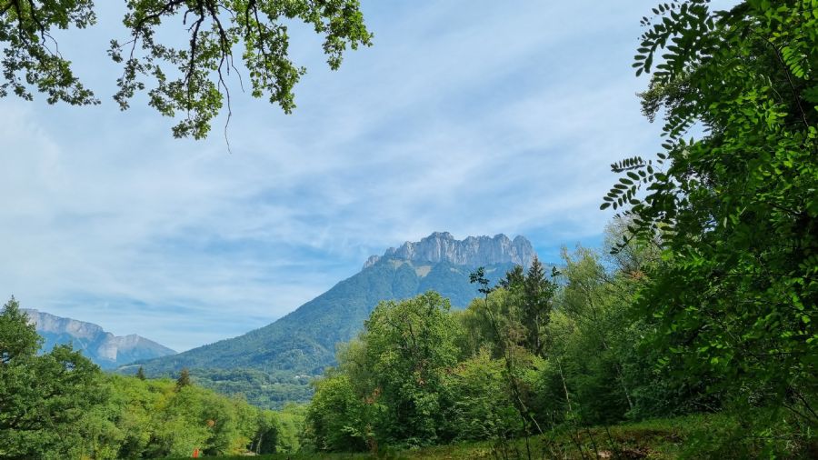 שאמוני והאלפים הצרפתיים